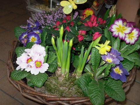 Bepflanzte Osterschale