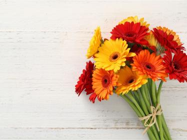 bunter Blumenstrauß vor Cremefarbener Wand+#