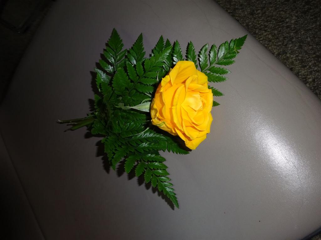 einzelne Rose mit Farn auf Stuhl bei Beisetzung